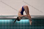Women's Diving  Wheaton College Women’s Diving vs Mount Holyoke College. - Photo by Keith Nordstrom : Wheaton, Swimming & Diving
